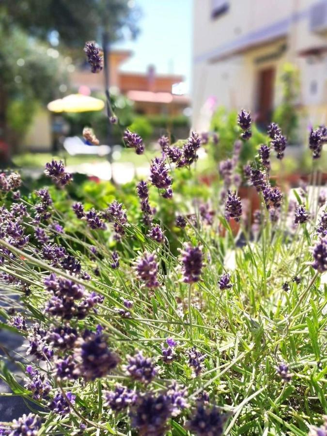 Appartamento A casa di Iole Fiumicino Esterno foto